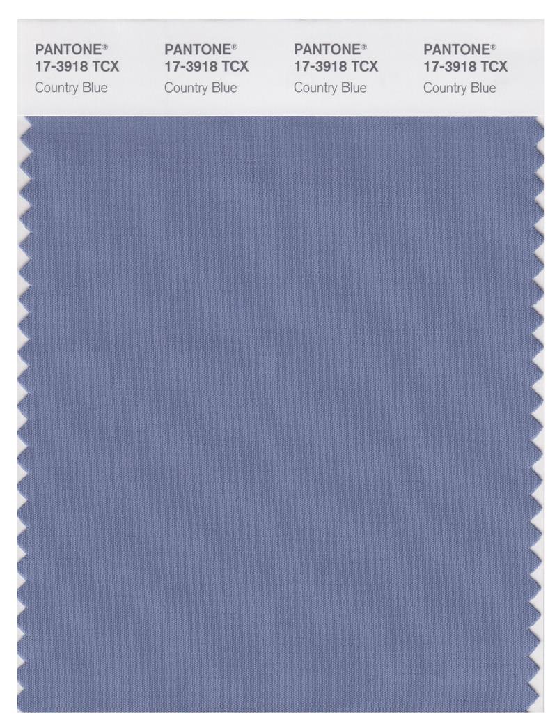 Pantone Smart 17-3918 TCX Color Swatch Card | Country Blue 