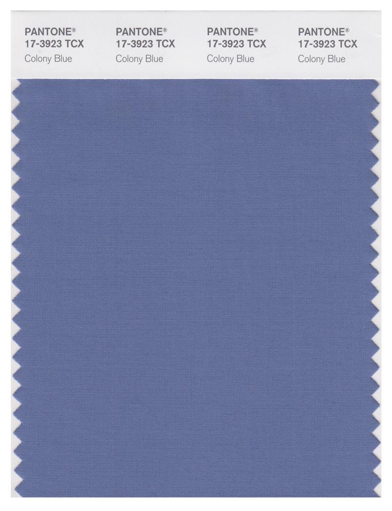 Pantone Smart 17-3923 TCX Color Swatch Card | Colony Blue 