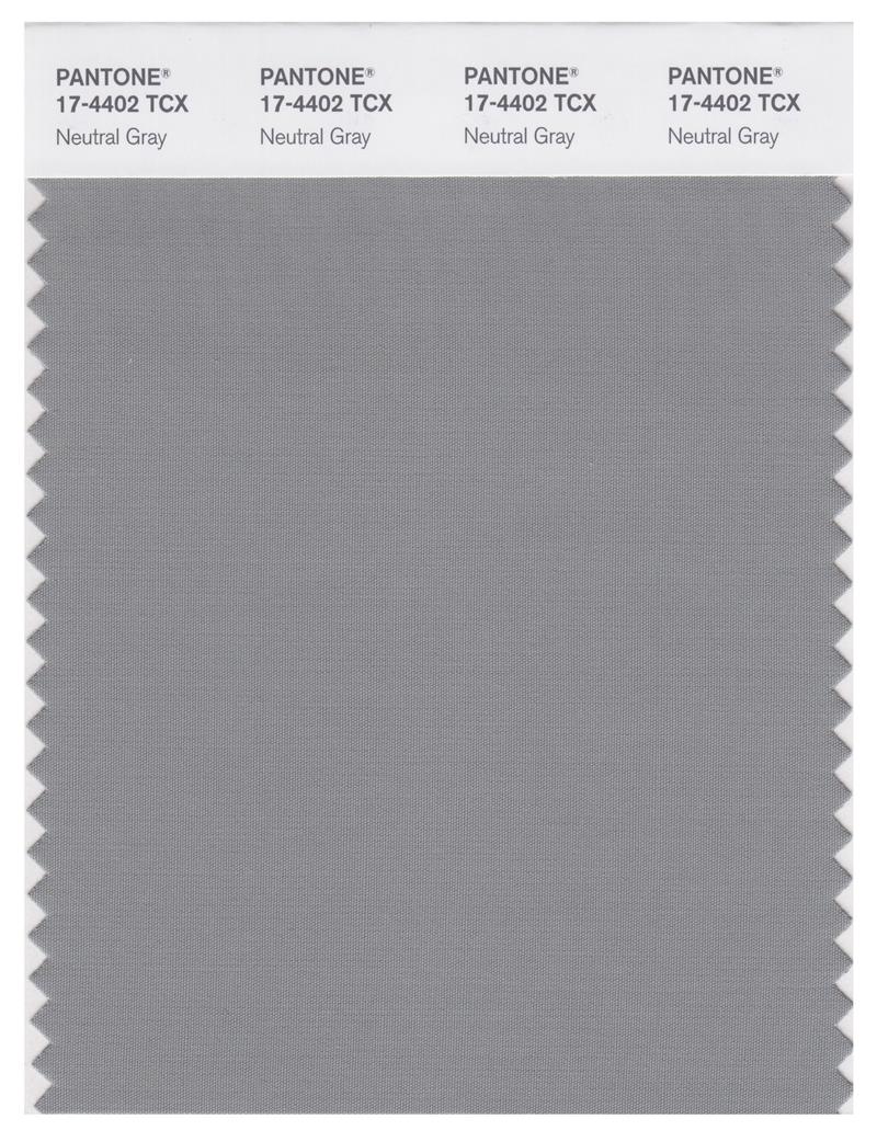 Pantone Smart 17-4402 TCX Color Swatch Card | Neutral Gray 