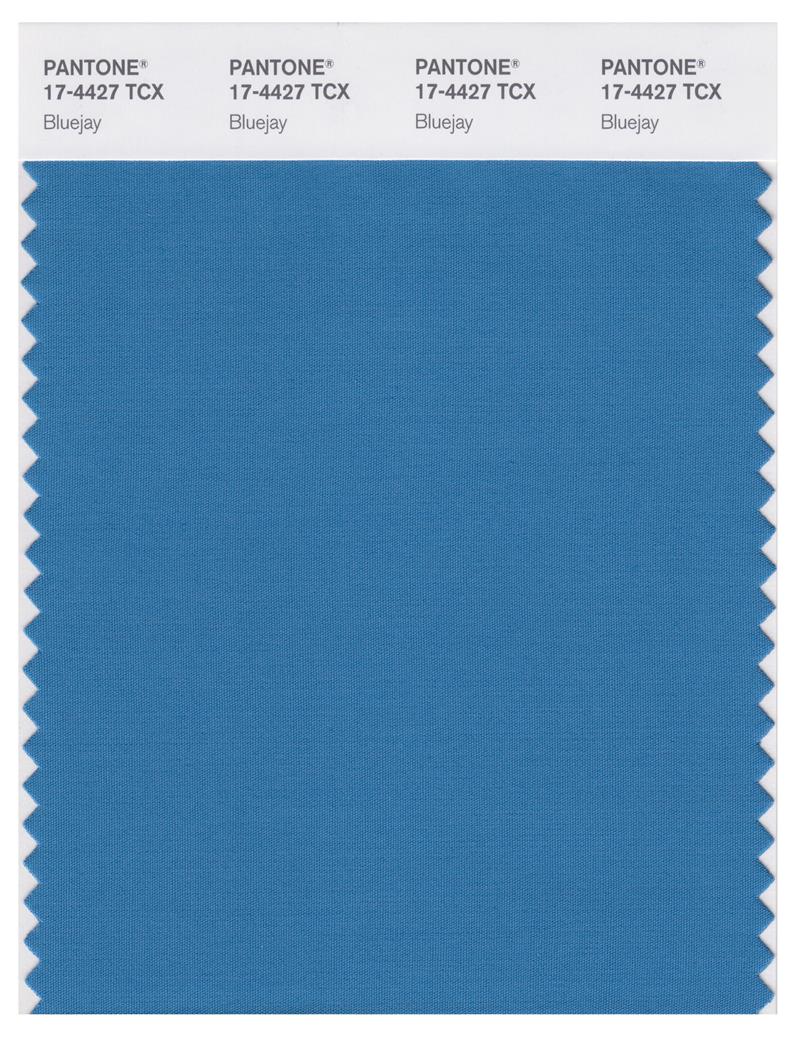 Pantone Smart 17-4427 TCX Color Swatch Card | Bluejay 