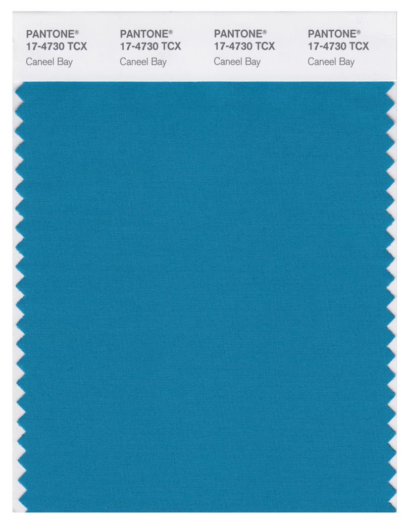 Pantone Smart 17-4730 TCX Color Swatch Card | Caneel Bay 