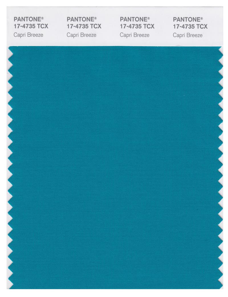 Pantone Smart 17-4735 TCX Color Swatch Card | Capri Breeze 