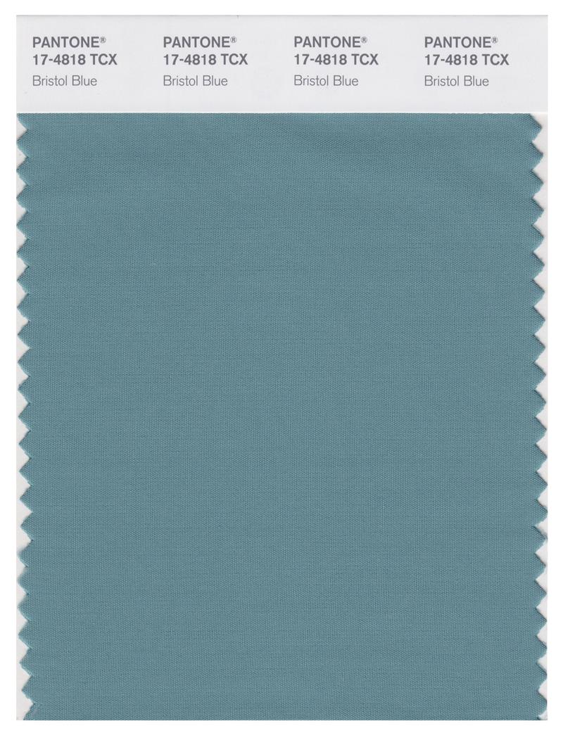 Pantone Smart 17-4818 TCX Color Swatch Card | Bristol Blue 