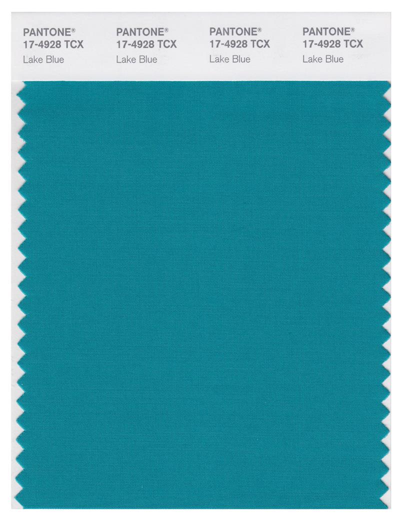 Pantone Smart 17-4928 TCX Color Swatch Card | Lake Blue 