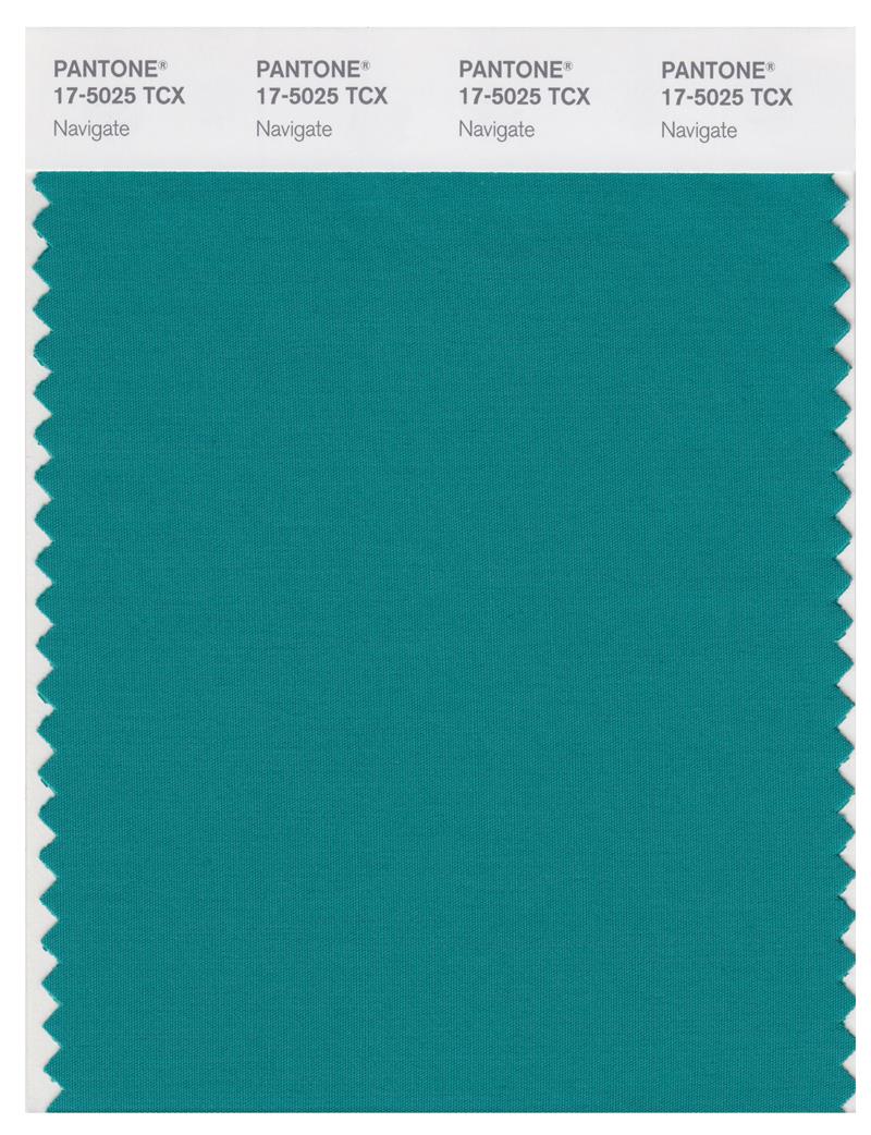 Pantone Smart 17-5025 TCX Color Swatch Card | Navigate 