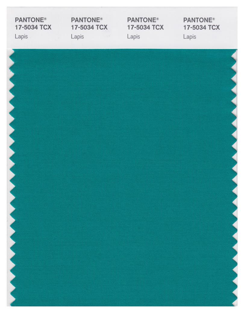 Pantone Smart 17-5034 TCX Color Swatch Card | Lapis 