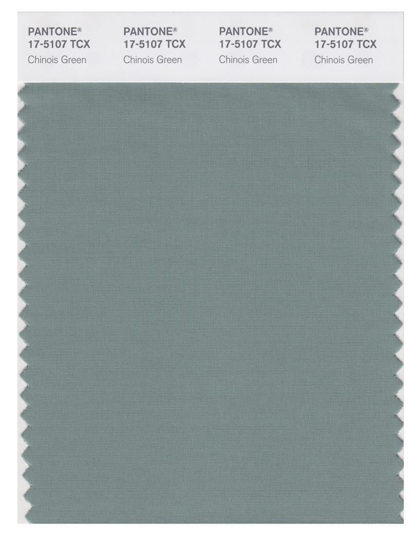 Pantone Smart 17-5107 TCX Color Swatch Card | Chinois Green 