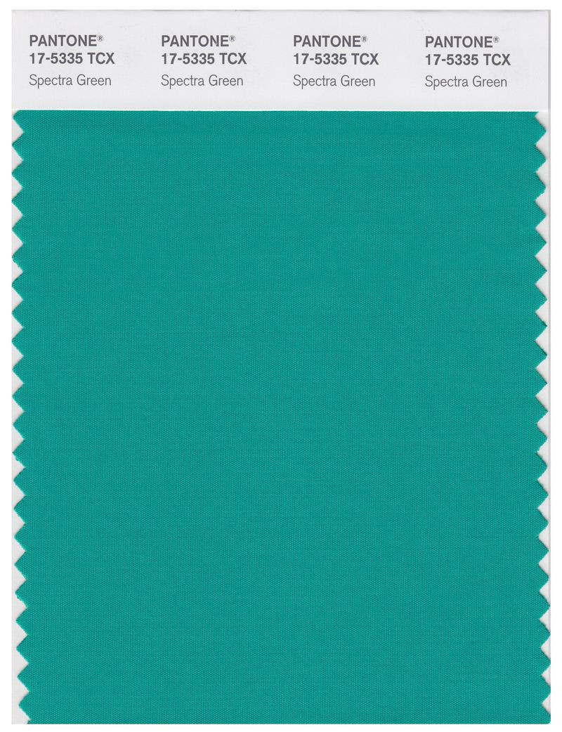 Pantone Smart 17-5335 TCX Color Swatch Card | Spectra Green 