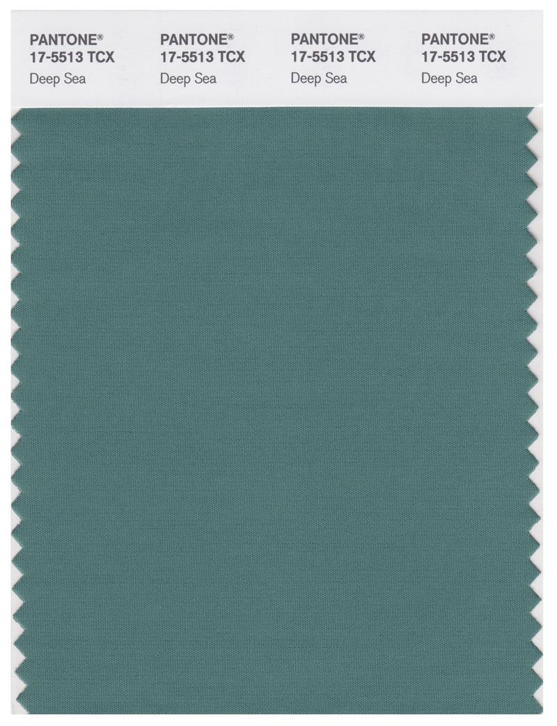 Pantone Smart 17-5513 TCX Color Swatch Card | Deep Sea 