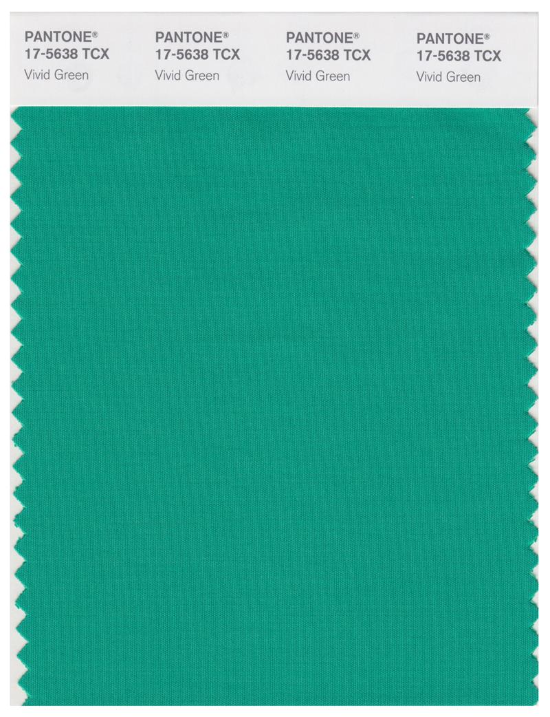 Pantone Smart 17-5638 TCX Color Swatch Card | Vivid Green 