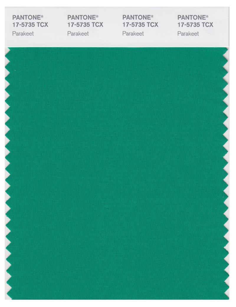 Pantone Smart 17-5735 TCX Color Swatch Card | Parakeet 