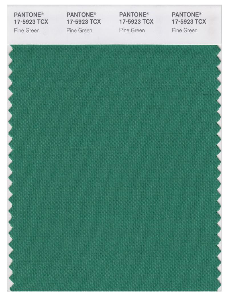 Pantone Smart 17-5923 TCX Color Swatch Card | Pine Green 