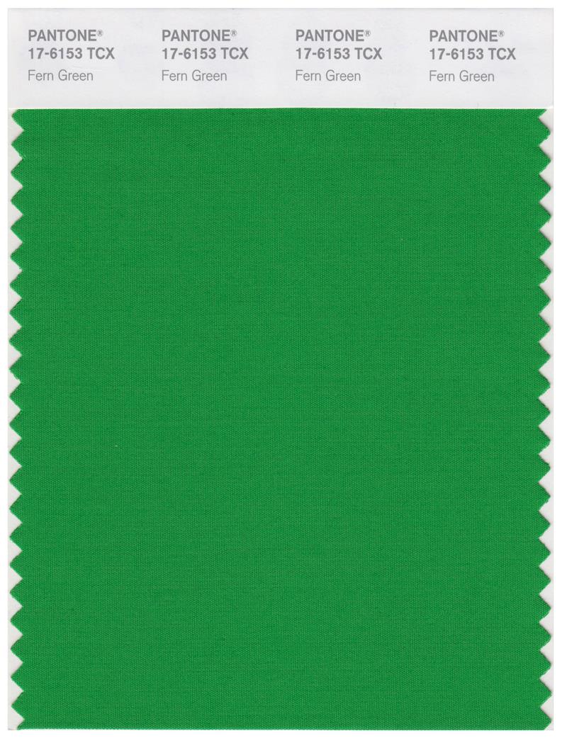 Pantone Smart 17-6153 TCX Color Swatch Card | Fern Green 