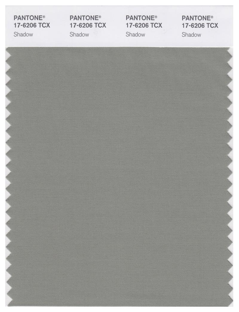 Pantone Smart 17-6206 TCX Color Swatch Card | Shadow 