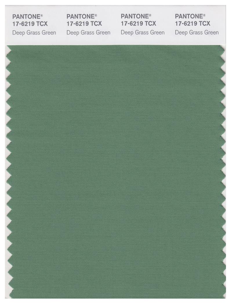 Pantone Smart 17-6219 TCX Color Swatch Card | Deep Grass Green 