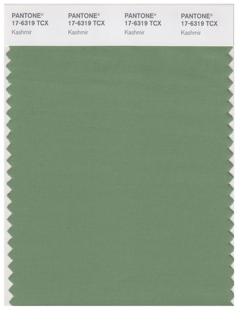 Pantone Smart 17-6319 TCX Color Swatch Card | Kashmir 