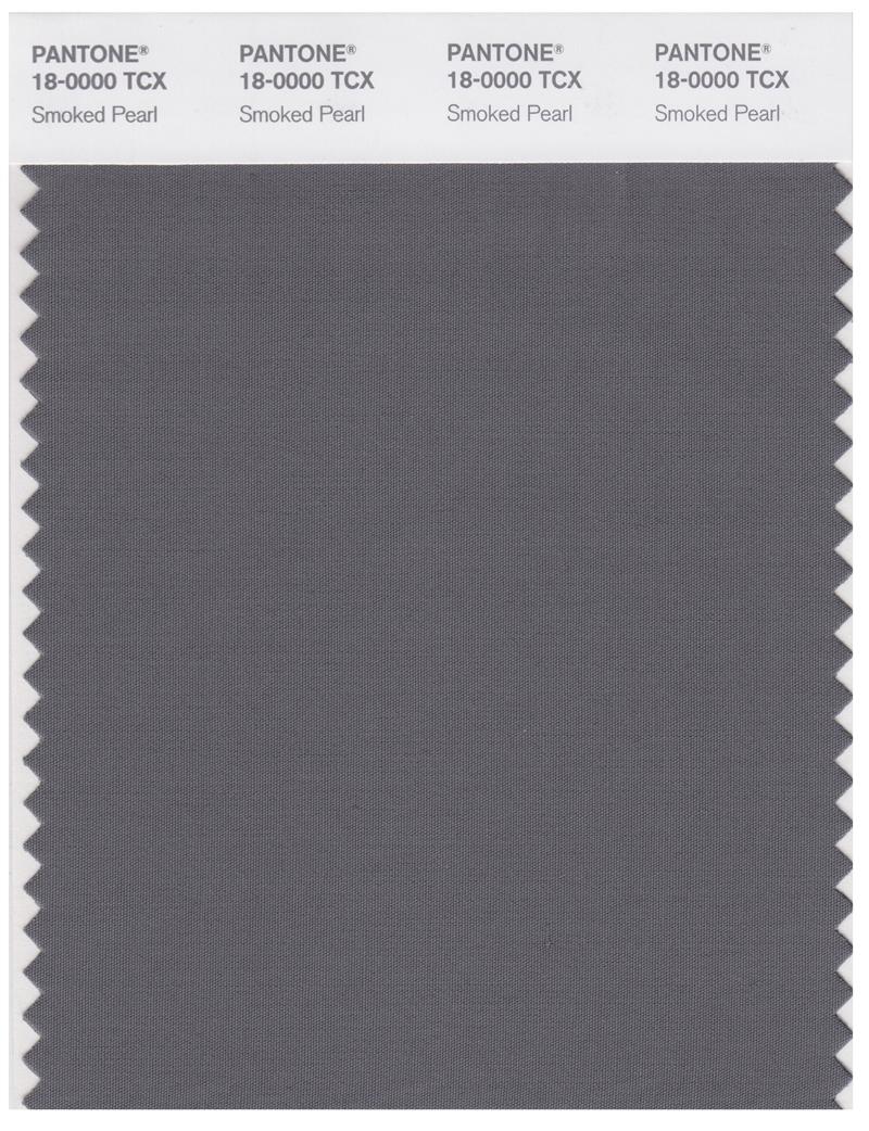 Pantone Smart 18-0000 TCX Color Swatch Card | Smoked Pearl 