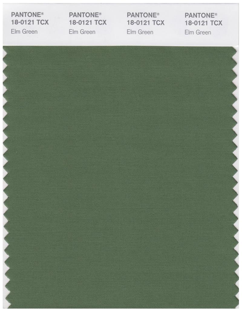 Pantone Smart 18-0121 TCX Color Swatch Card | Elm Green 