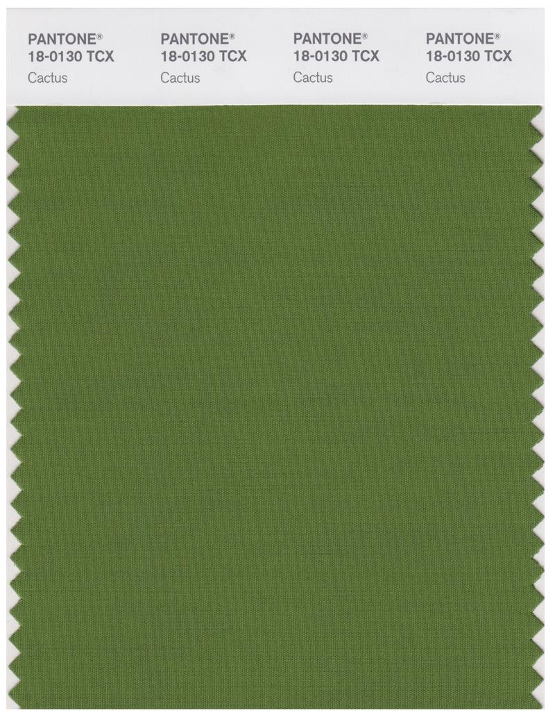 Pantone Smart 18-0130 TCX Color Swatch Card | Cactus 