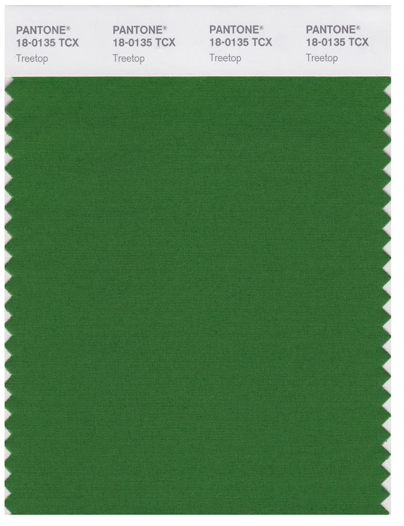 Pantone Smart 18-0135 TCX Color Swatch Card | Treetop 