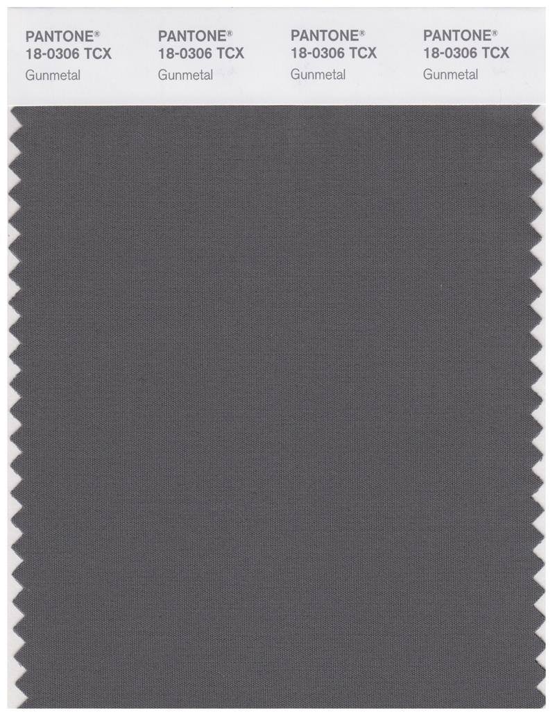 Pantone Smart 18-0306 TCX Color Swatch Card | Gunmetal 