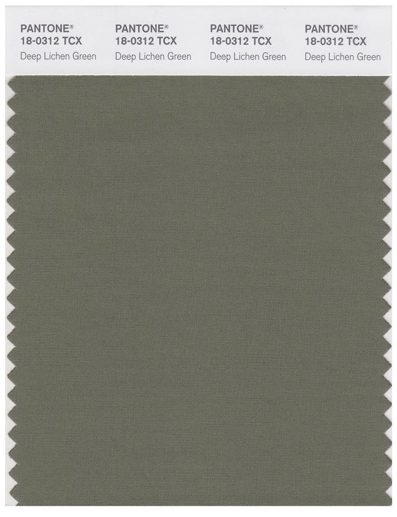 Pantone Smart 18-0312 TCX Color Swatch Card | Deep Lichen Green 