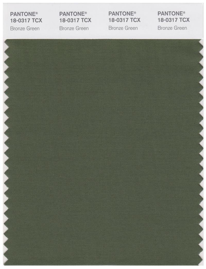 Pantone Smart 18-0317 TCX Color Swatch Card | Bronze Green 