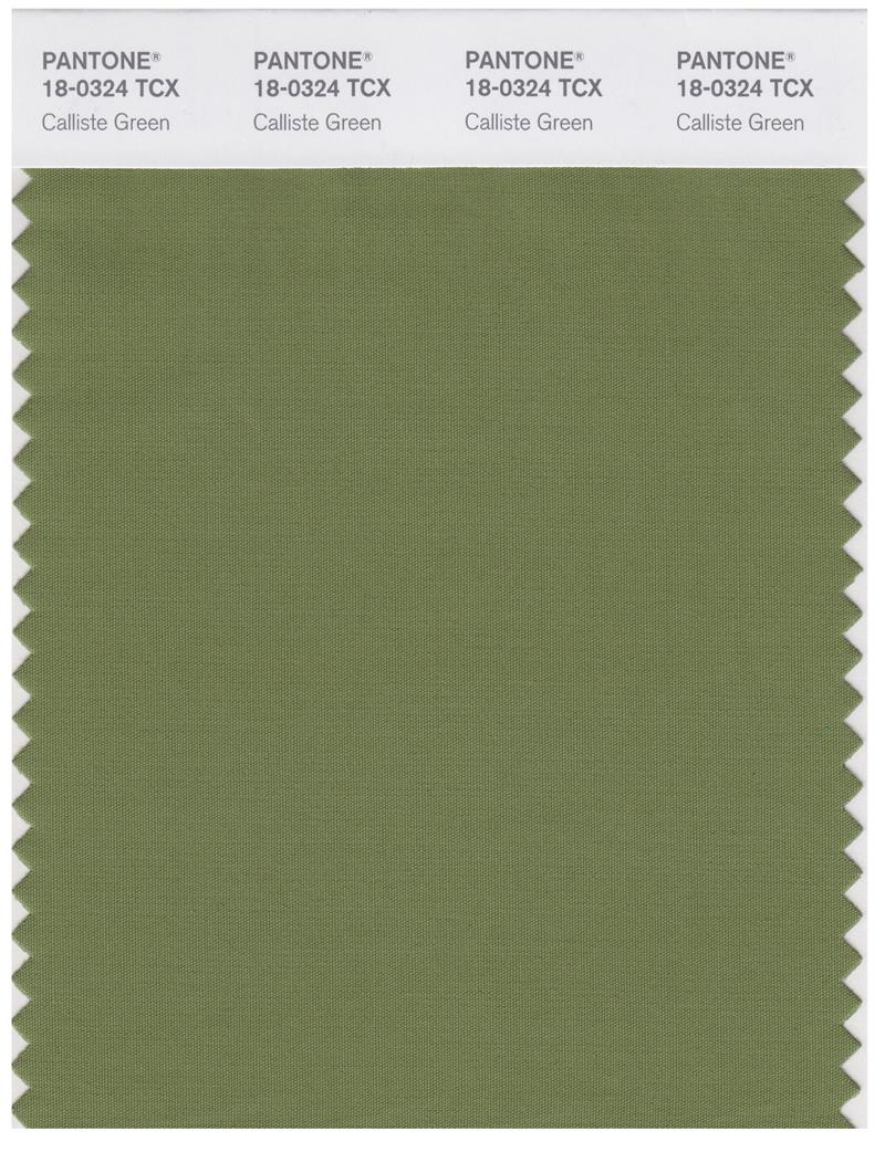 Pantone Smart 18-0324 TCX Color Swatch Card | Calliste Green 