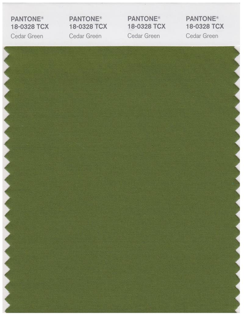 Pantone Smart 18-0328 TCX Color Swatch Card | Cedar Green 