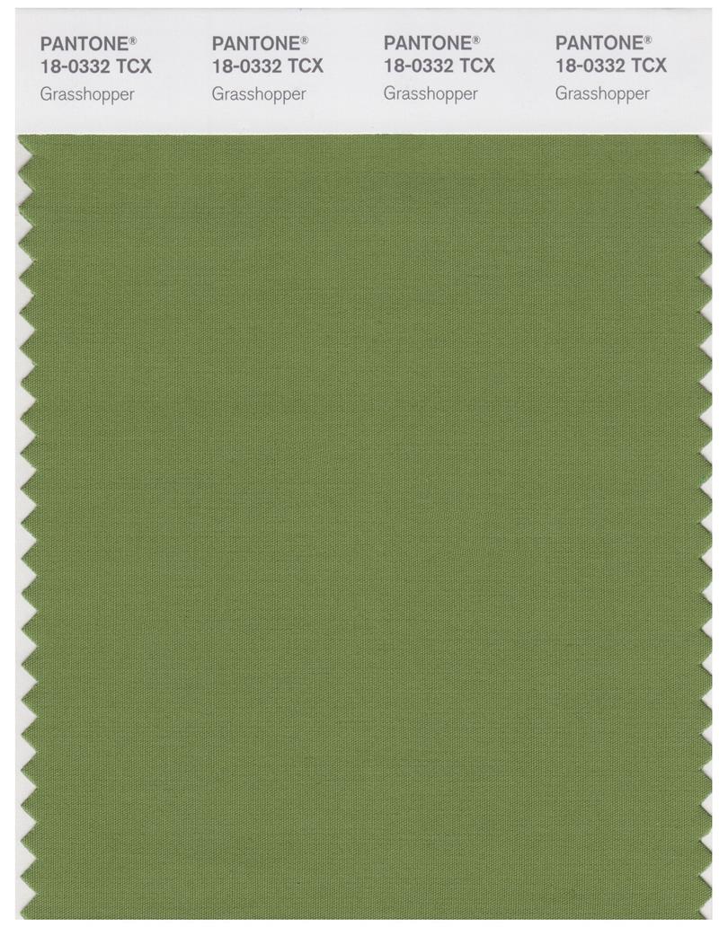 Pantone Smart 18-0332 TCX Color Swatch Card | Grasshopper 