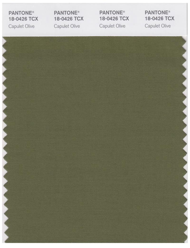 Pantone Smart 18-0426 TCX Color Swatch Card | Capulet Olive 