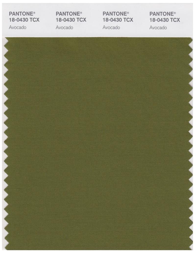 Pantone Smart 18-0430 TCX Color Swatch Card | Avocado 