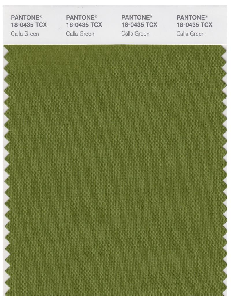 Pantone Smart 18-0435 TCX Color Swatch Card | Calla Green 