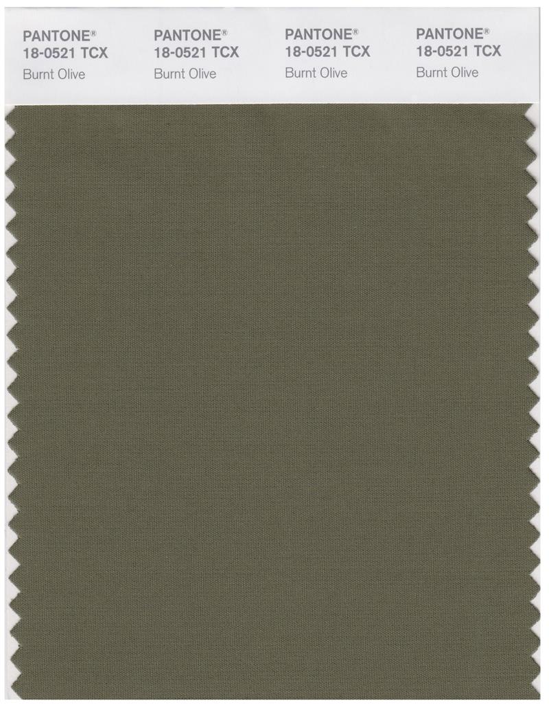 Pantone Smart 18-0521 TCX Color Swatch Card | Burnt Olive 