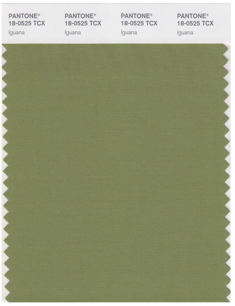 Pantone Smart 18-0525 TCX Color Swatch Card | Iguana 