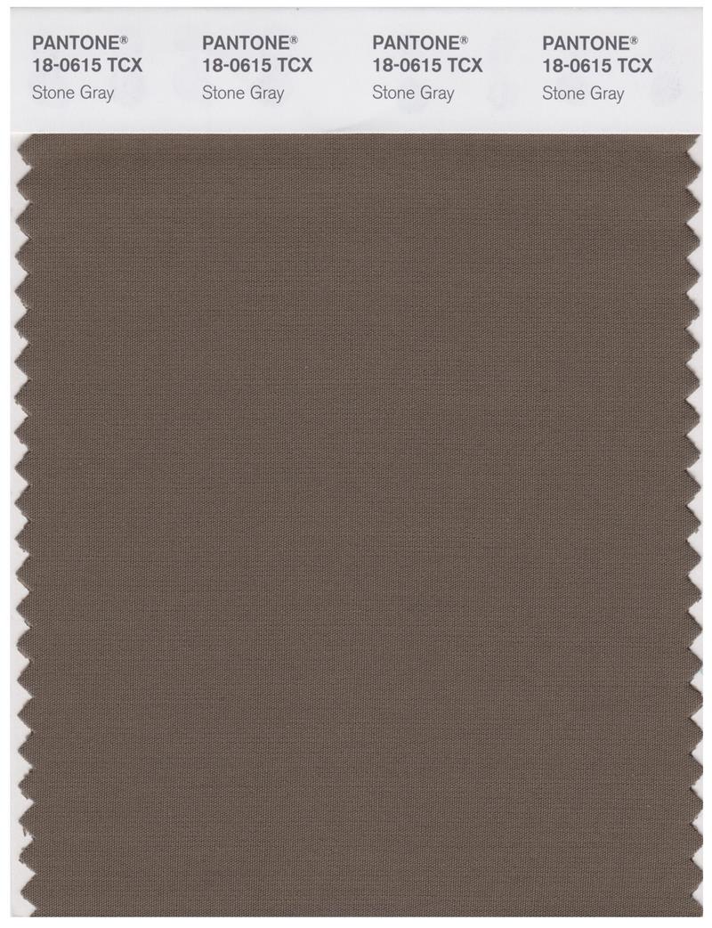 Pantone Smart 18-0615 TCX Color Swatch Card | Stone Gray 