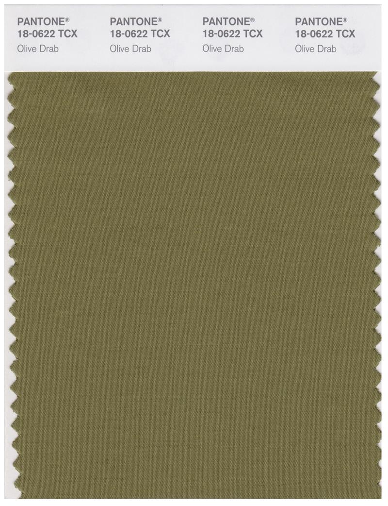 Pantone Smart 18-0622 TCX Color Swatch Card | Olive Drab 