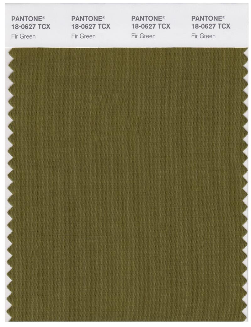 Pantone Smart 18-0627 TCX Color Swatch Card | Fir Green 