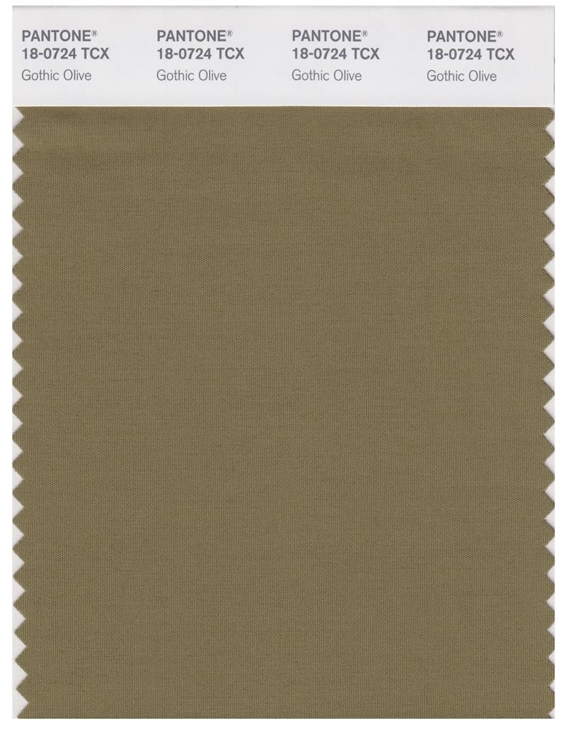 Pantone Smart 18-0724 TCX Color Swatch Card | Gothic Olive 