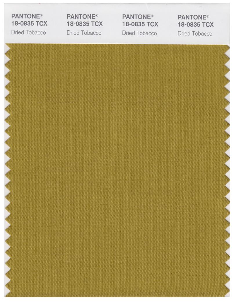 Pantone Smart 18-0835 TCX Color Swatch Card | Dried Tabacco 