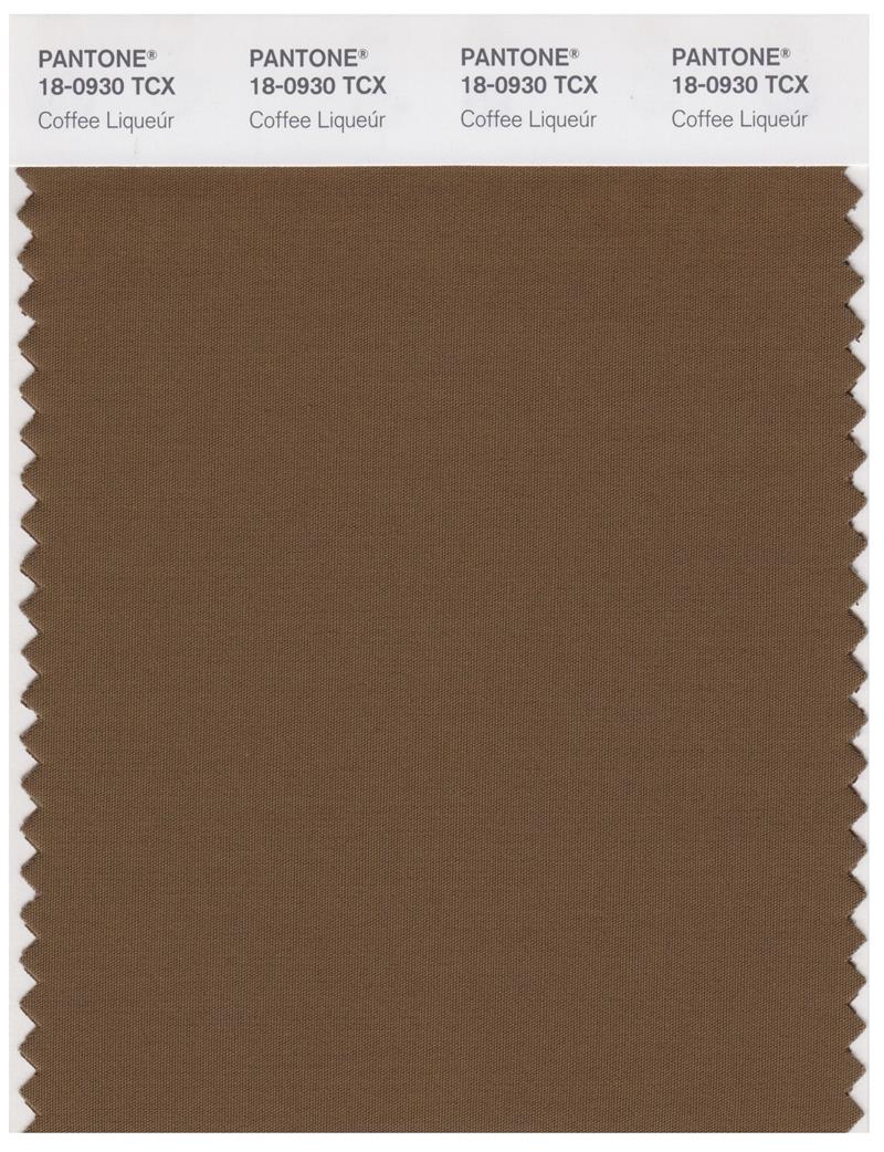 Pantone Smart 18-0930 TCX Color Swatch Card | Cofee Liqeur 