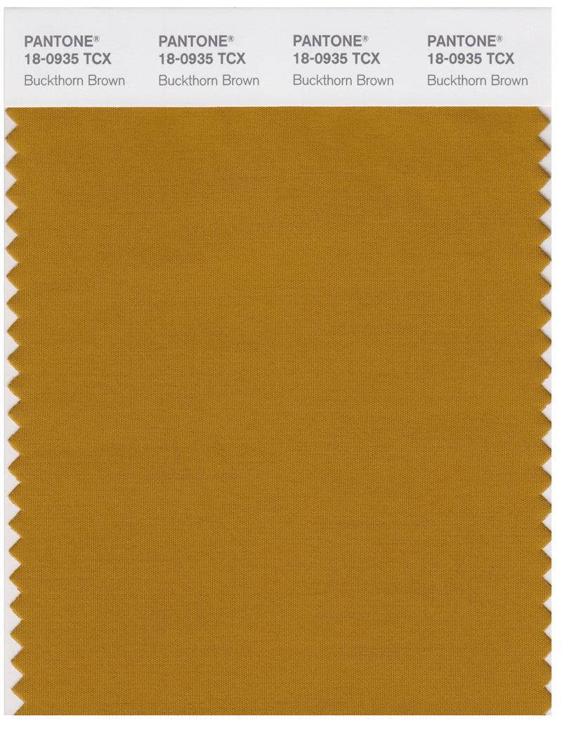 Pantone Smart 18-0935 TCX Color Swatch Card | Buckhorn Brown 