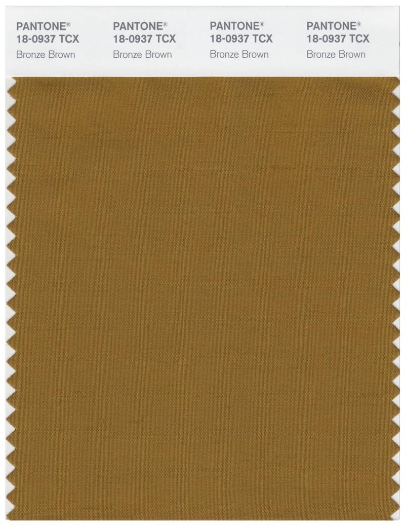 Pantone Smart 18-0937 TCX Color Swatch Card | Bronze Brown 