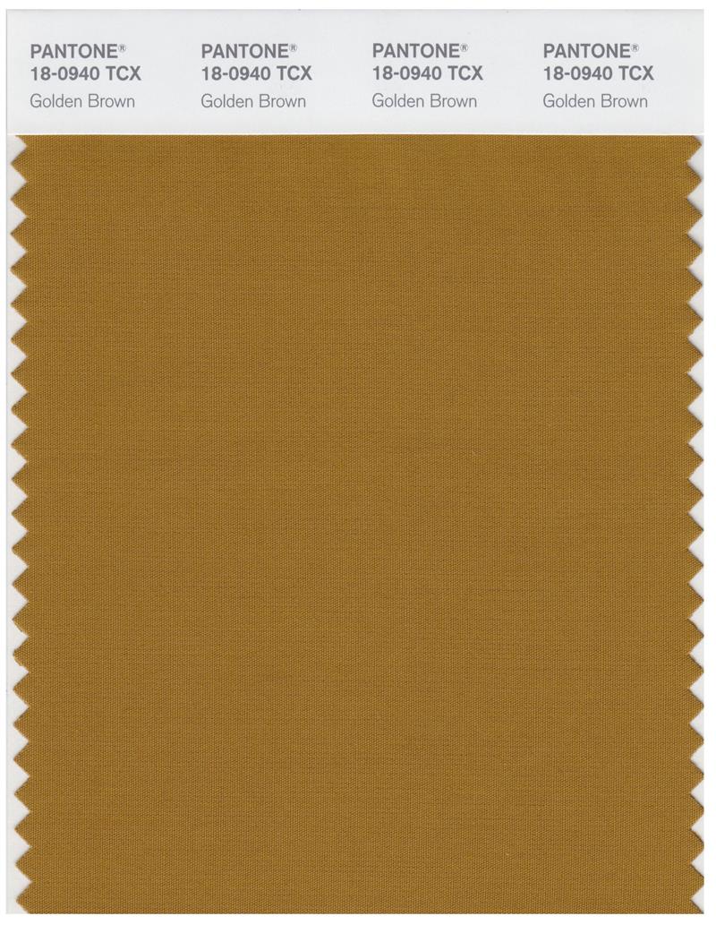 Pantone Smart 18-0940 TCX Color Swatch Card | Golden Brown 