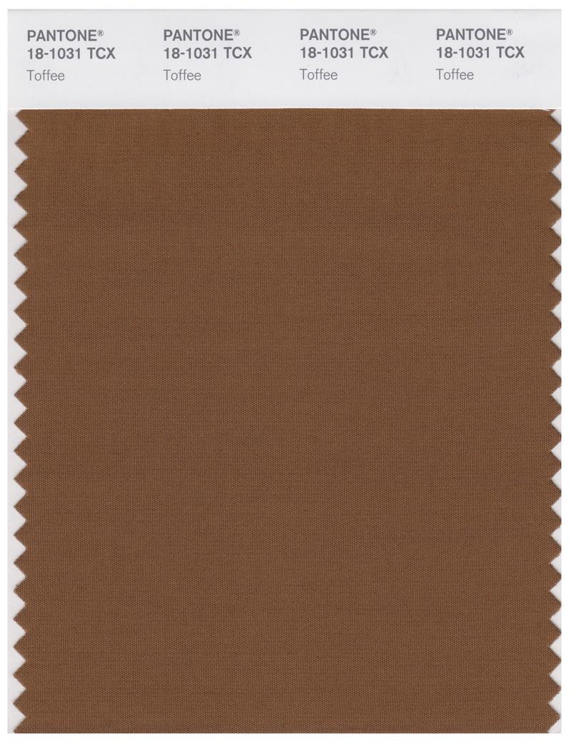 Pantone Smart 18-1031 TCX Color Swatch Card | Toffee 