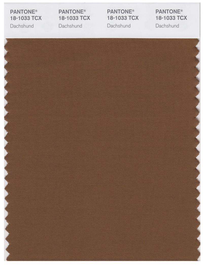 Pantone Smart 18-1033 TCX Color Swatch Card | Dachshund 