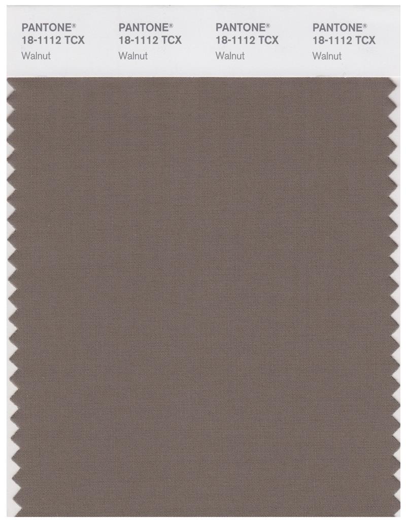 Pantone Smart 18-1112 TCX Color Swatch Card | Walnut 