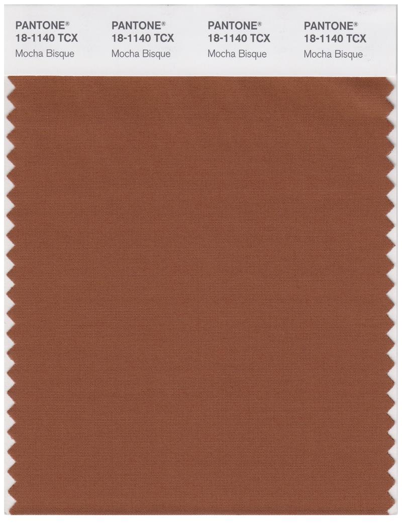 Pantone Smart 18-1140 TCX Color Swatch Card | Mocha Bisque 