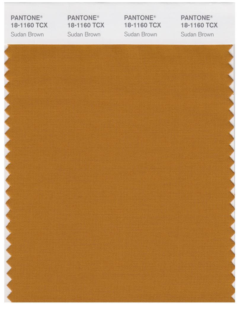 Pantone Smart 18-1160 TCX Color Swatch Card | Sudan Brown 