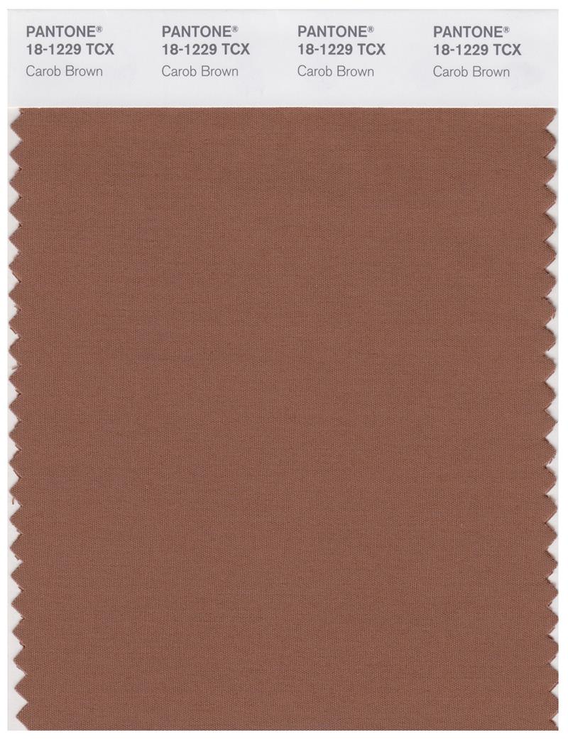 Pantone Smart 18-1229 TCX Color Swatch Card | Carob Brown 